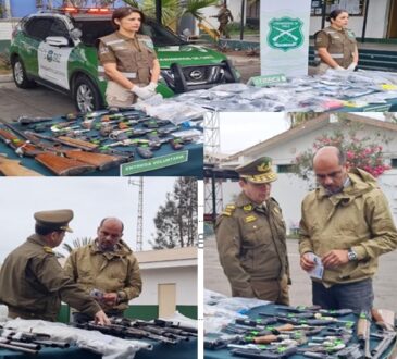 Intensa campaña para eliminar inquietante poder de fuego de la delincuencia