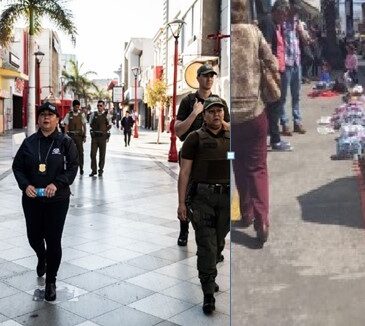 La idea es quitarle el centro al delito y al comercio ilegal