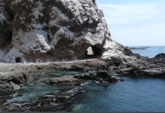 Conocido mariscador falleció en roqueríos de Corazones