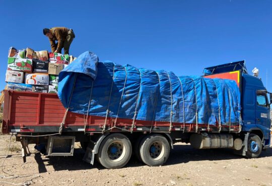 Más de 18 toneladas de contrabando agrícola incautó carabineros en la frontera
