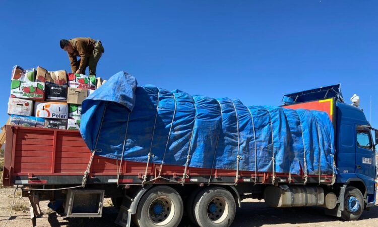 Más de 18 toneladas de contrabando agrícola incautó carabineros en la frontera
