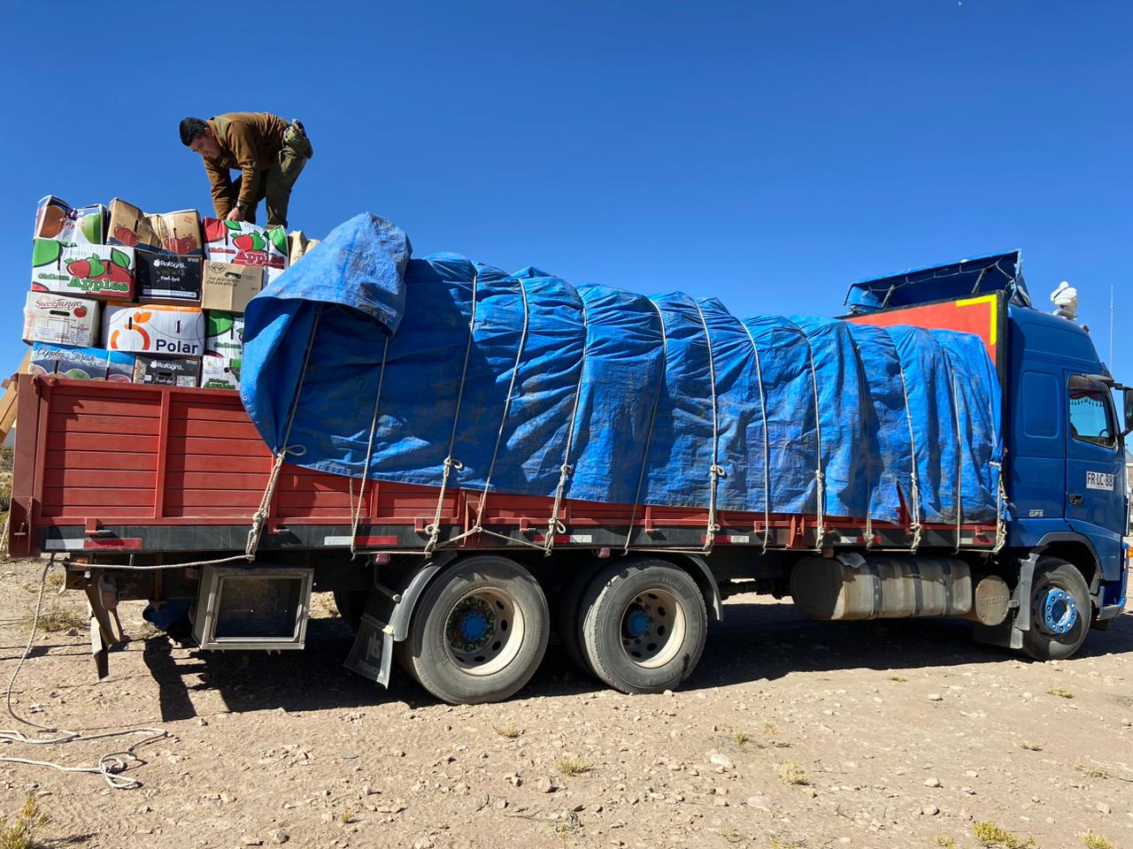<strong>Más de 18 toneladas de contrabando agrícola incautó carabineros en la frontera</strong>