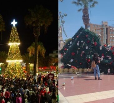Se cayó el árbol navideño en la Plaza Colón