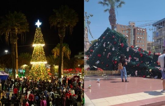 Se cayó el árbol navideño en la Plaza Colón