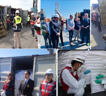 PDI y Aduanas incautan 41 contenedores con precursores químicos en puerto de Arica