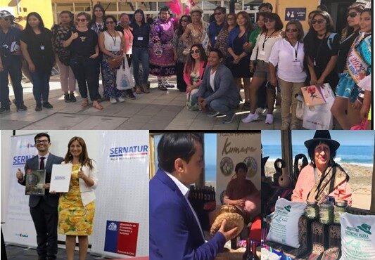 SERNATUR realizó encuentro de tour operadores de Chile, Perú y Bolivia