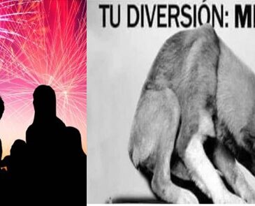 En Arica llaman a integrarse a la campaña contra fuegos artificiales