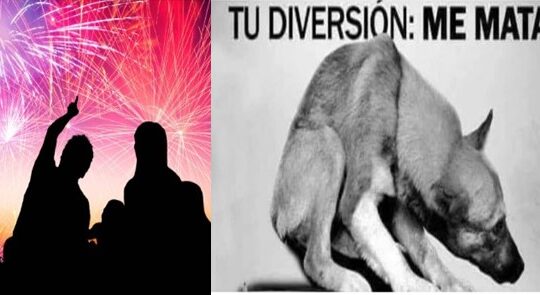 En Arica llaman a integrarse a la campaña contra fuegos artificiales