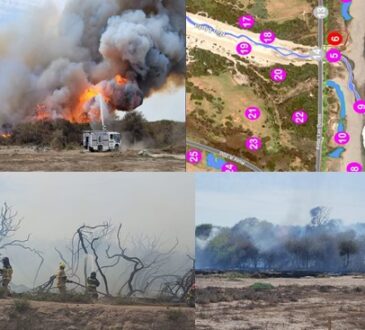 Humedal de Lluta con sus 36 hectáreas protegidas está en grave peligro