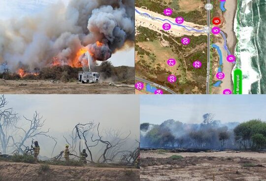 Humedal de Lluta con sus 36 hectáreas protegidas está en grave peligro