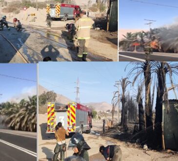 Bomberos combatieron incendio durante 3 horas en el kilómetro 11 de Azapa