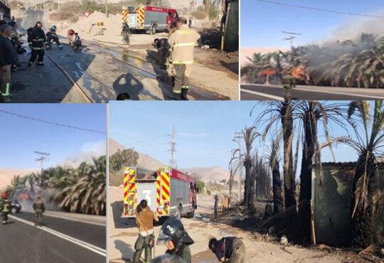 Bomberos combatieron incendio durante 3 horas en el kilómetro 11 de Azapa