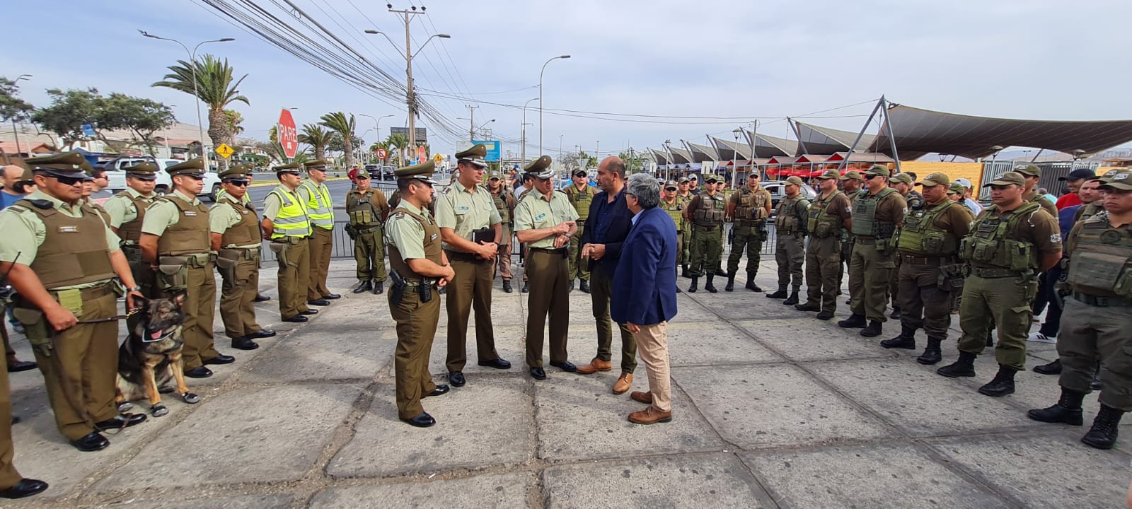 <strong>Mil controles en siete horas hicieron Carabineros en coordinación con la Delegación Presidencial</strong>