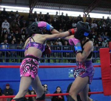 Boxeo femenino la gran revelación del Festival del próximo sábado