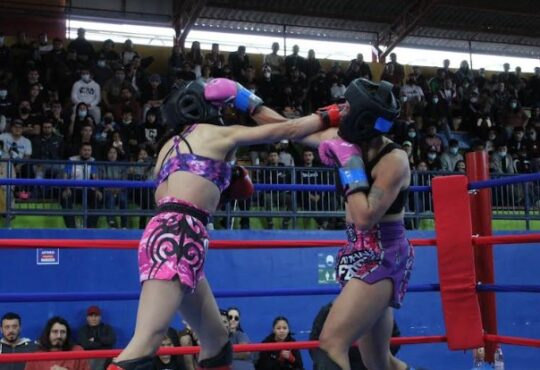 Boxeo femenino la gran revelación del Festival del próximo sábado