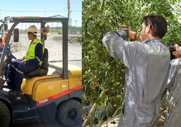 Los tres trabajos más demandados en nuestra región según el Observatorio Laboral  