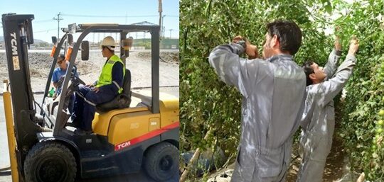 Los tres trabajos más demandados en nuestra región según el Observatorio Laboral  