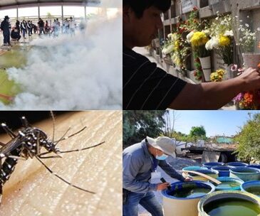 Alerta Arica fronteriza: Emergencia total en Perú  por dengue en 20 regiones contabilizan 75 mil contagios y 79 muertos