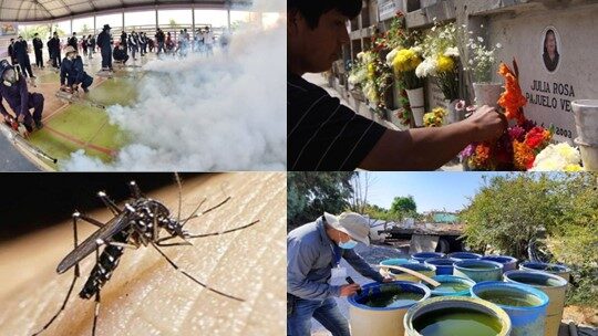 Alerta Arica fronteriza: Emergencia total en Perú  por dengue en 20 regiones contabilizan 75 mil contagios y 79 muertos