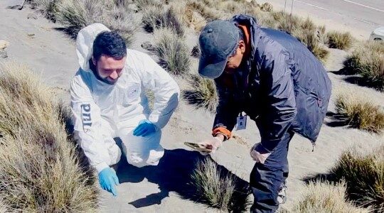 BIDEMA descubre arqueología patrimonial en Putre