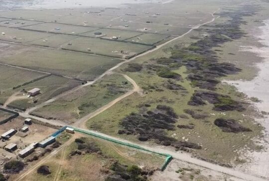 A la Fiscalía se fueron loteos irregulares que dañan humedal del río Lluta