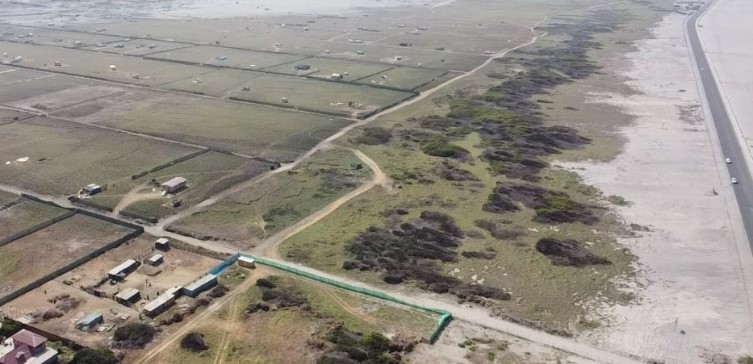 A la Fiscalía se fueron loteos irregulares que dañan humedal del río Lluta
