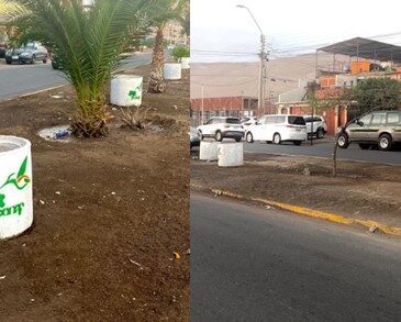 Vergüenza ajena: Roban plantas y tierra vegetal que CONAF entregó para hermosear la avenida