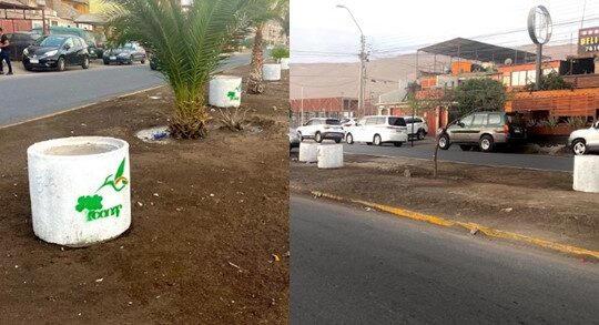 Vergüenza ajena: Roban plantas y tierra vegetal que CONAF entregó para hermosear la avenida