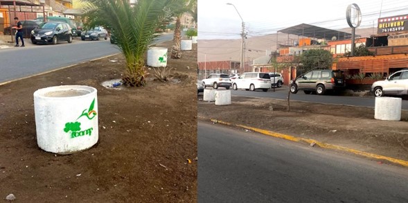 Vergüenza ajena: Roban plantas y tierra vegetal que CONAF entregó para hermosear la avenida