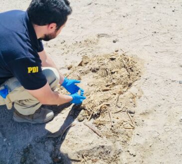 PDI Arica detuvo a imputado por daño a sitio arqueológico en Lluta