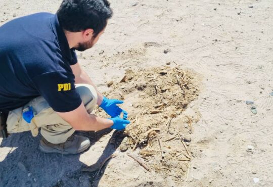 PDI Arica detuvo a imputado por daño a sitio arqueológico en Lluta
