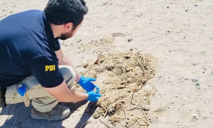 PDI Arica detuvo a imputado por daño a sitio arqueológico en Lluta