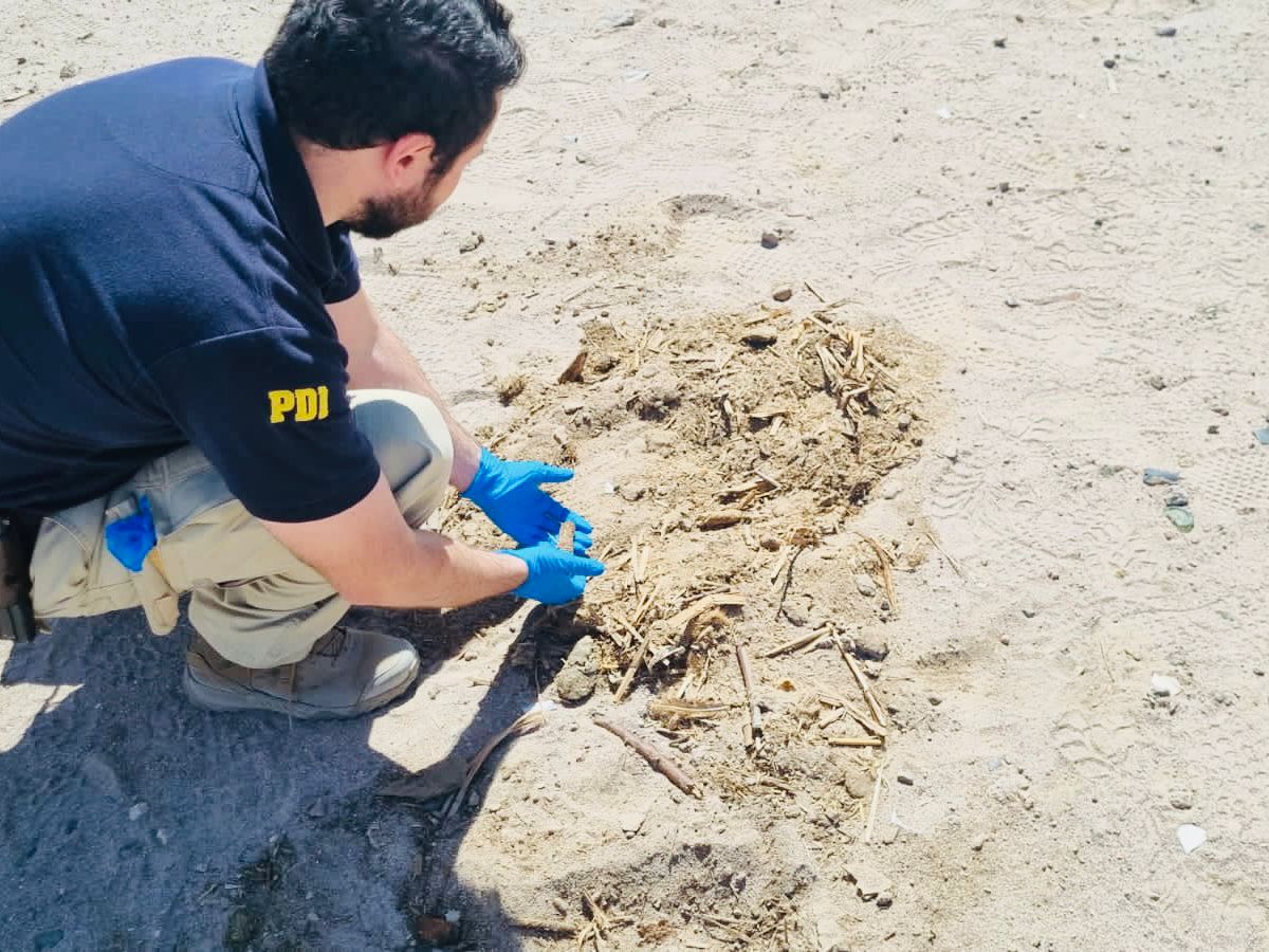 PDI Arica detuvo a imputado por daño a sitio arqueológico en Lluta