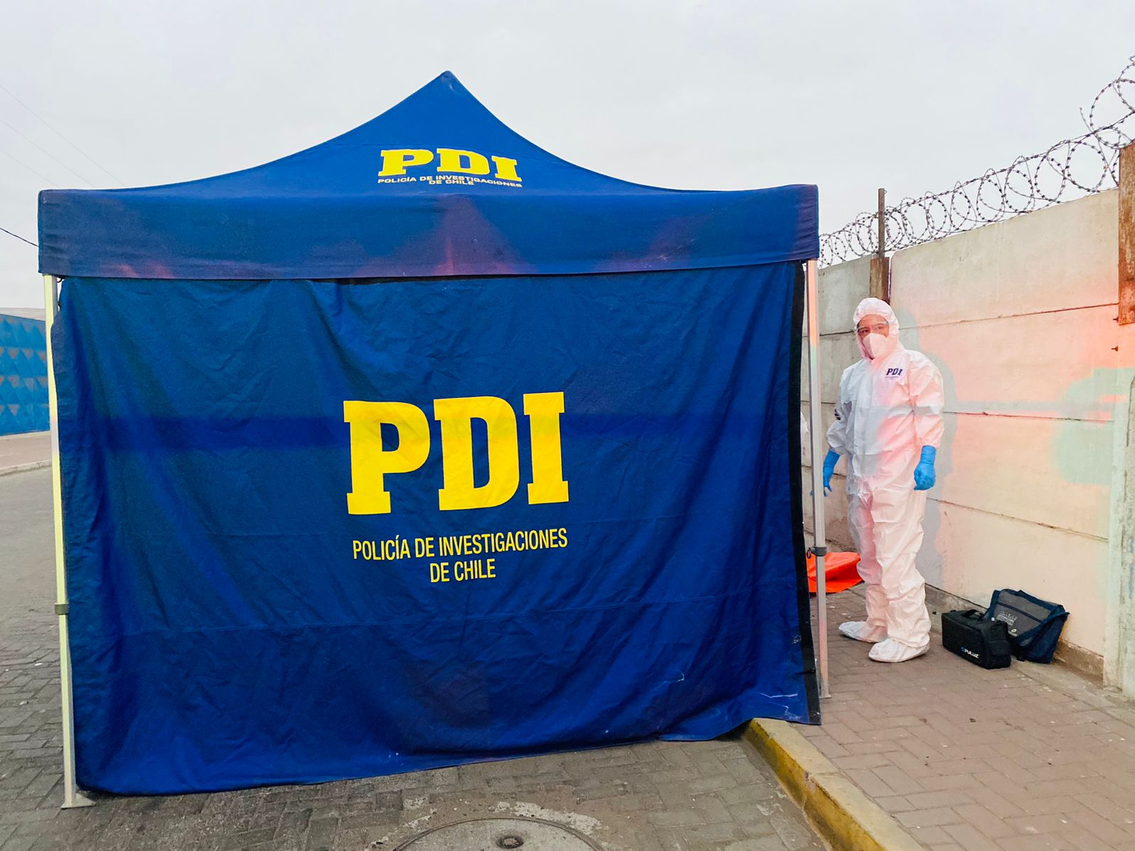 Peligroso integrante del Tren de Aragua ingresó clandestinamente a Chile