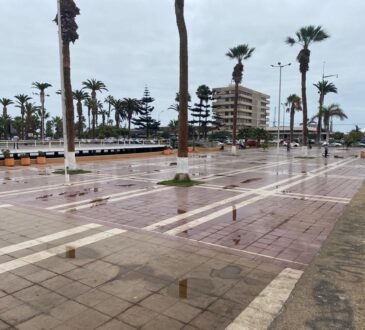 0,4 mm. de agua cayeron en Arica en leve llovizna de madrugada