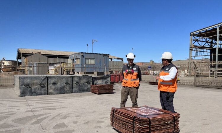 Pampa Camarones se inscribe en el Mercado ScaleX de la Bolsa de Santiago