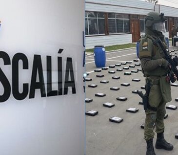 Fiscalía pide 58 años para traficantes colombianos de 600 kilos de marihuana Creepy