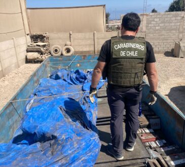 Carabineros recuperó cargamento de cátodos de cobre robados en Calama