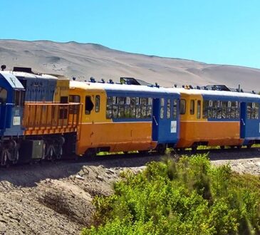 Habilitarán tren turístico especial para llegar al Festival del Choclo de Poconchile