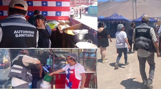 Estricto control de la Seremi de Salud a ramadas del “18 Chico”