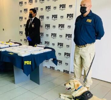 PDI y SAG interceptan cocaína por 500 millones en camión con mangos que iba a Santiago