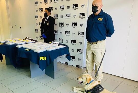 PDI y SAG interceptan cocaína por 500 millones en camión con mangos que iba a Santiago