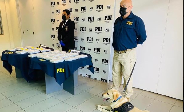 PDI y SAG interceptan cocaína por 500 millones en camión con mangos que iba a Santiago