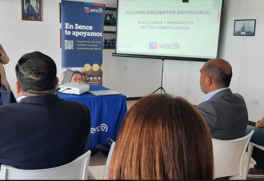 Opciones a las constructoras ariqueñas para aumentar la empleabilidad