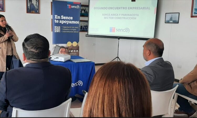 Opciones a las constructoras ariqueñas para aumentar la empleabilidad