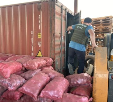 Lo que faltaba: Incautan millonario contrabando de papas peruanas