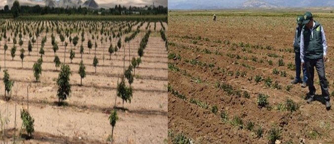 Tacna en estado de emergencia por preocupante déficit hídrico