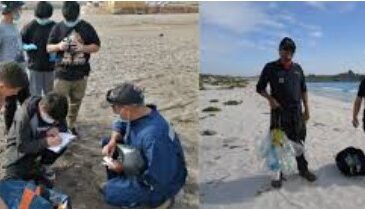 En Arica solo tres colegios participaron en el Día Internacional Limpieza de Playas  