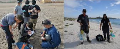 En Arica solo tres colegios participaron en el Día Internacional Limpieza de Playas