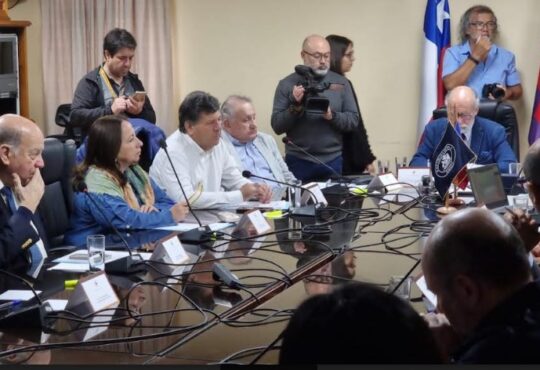 Comisión de Agricultura del Senado acordó declarar a Arica y Parinacota como Región Agrícola